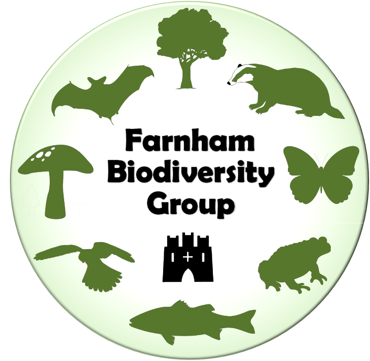 © Farnham Biodiversity Group 2019